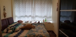 Parc Sophia (D9), Apartment #215490181